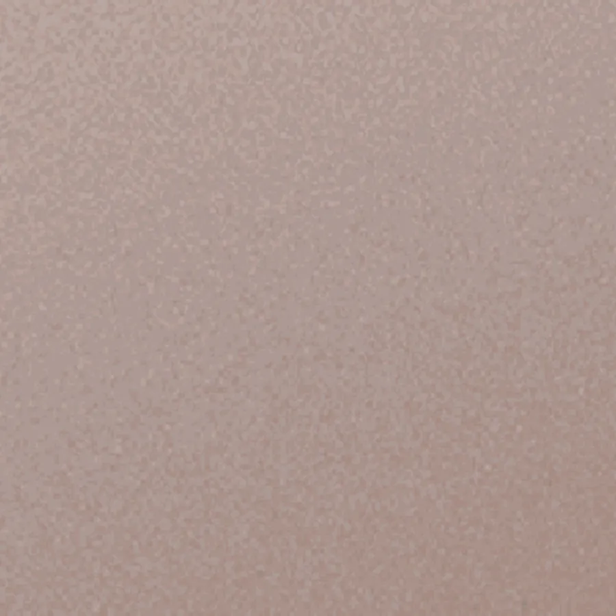 Champagne — BODAQ VM905